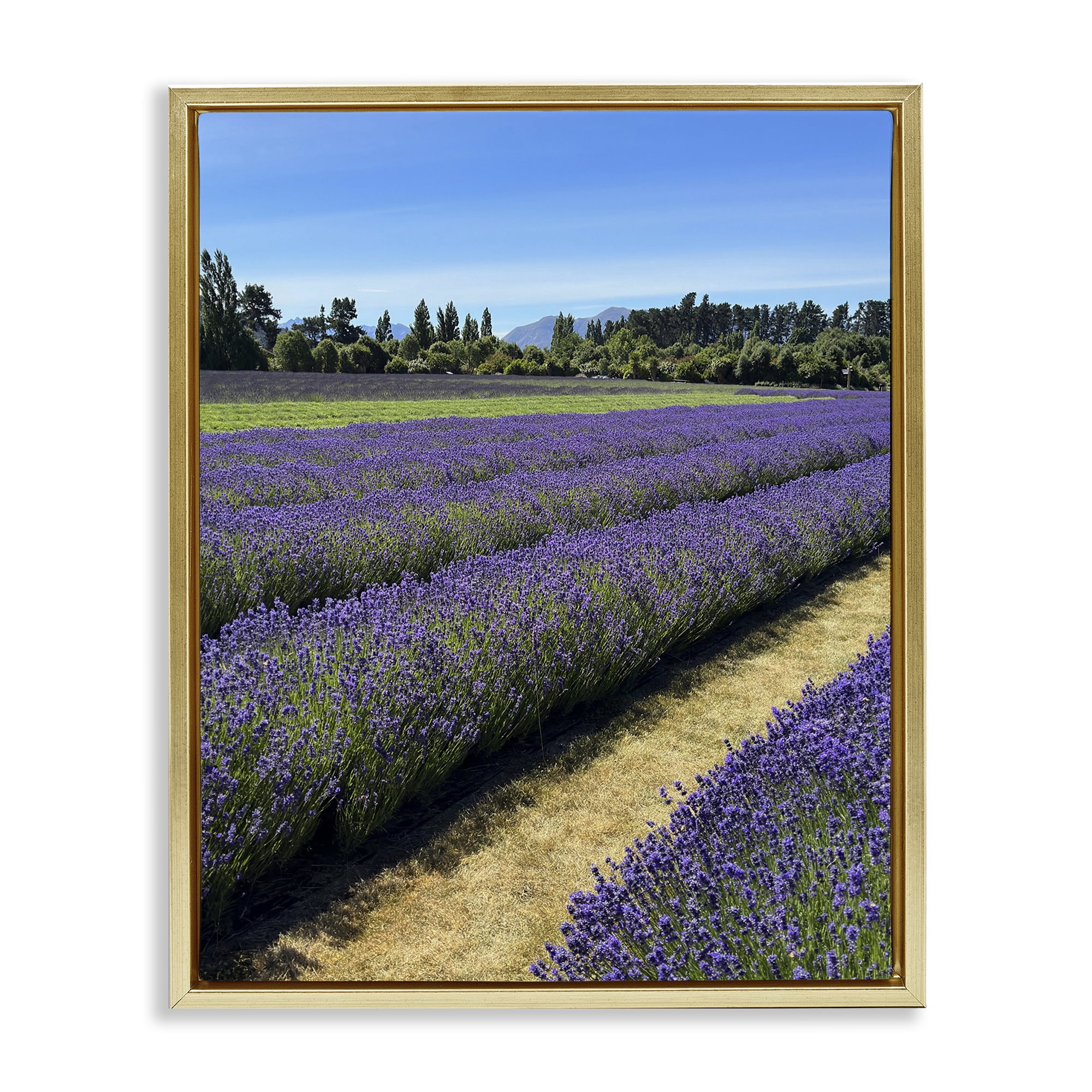 Stupell Industries Lavender Path Landscape Landscape Photography Gold Floater Framed Art Print Wall Art, 17 x 21