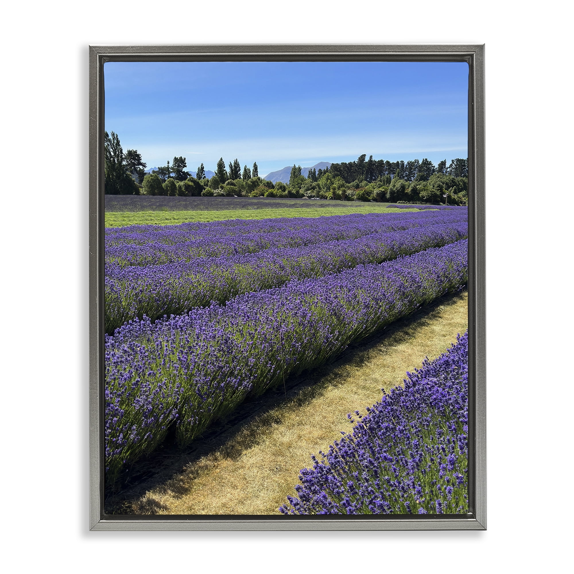Stupell Industries Lavender Path Landscape Landscape Photography Gray Floater Framed Art Print Wall Art, 17 x 21
