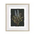 thumbnail image 1 of Stupell Industries Cottage Lavender Sprigs on Dark Background Birch Framed Print Under Glass, 13 x 16, by Carol Robinson, 1 of 8