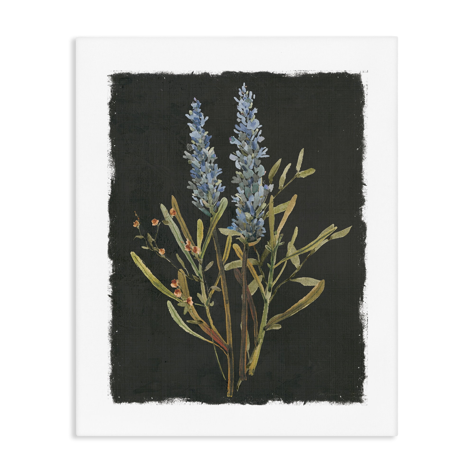 Stupell Industries Lavender Sprigs on Dark Background Canvas Wall Art, design by Carol Robinson
