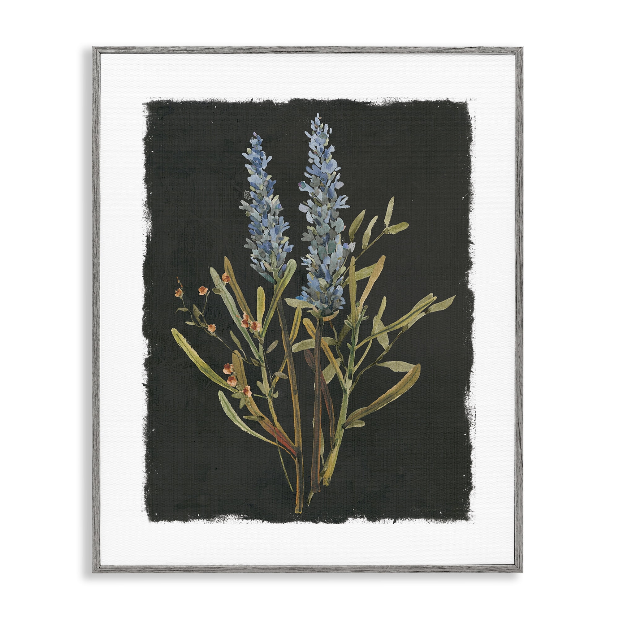 Stupell Industries Lavender Sprigs on Dark Background Gray Framed Giclee Art, design by Carol Robinson