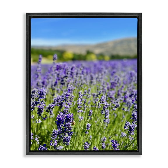 Stupell Industries Lavender in the Wind Landscape Photography Black Floater Framed Art Print Wall Art, 17 x 21