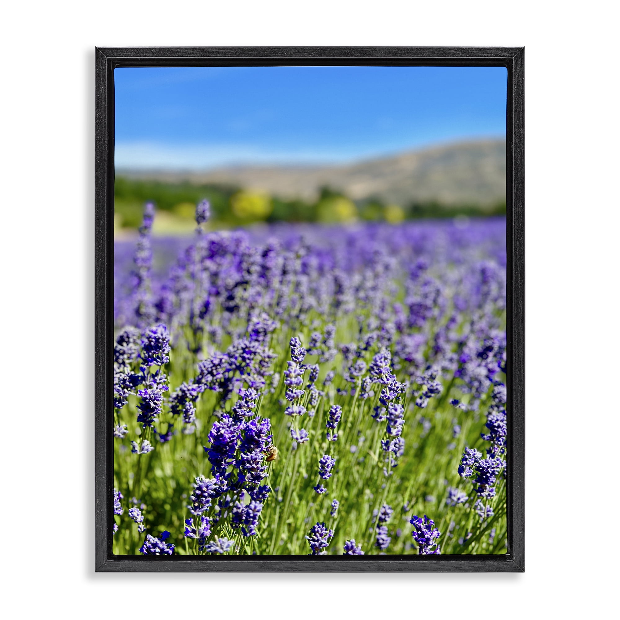 Stupell Industries Lavender in the Wind Landscape Photography Black Floater Framed Art Print Wall Art, 25 x 31