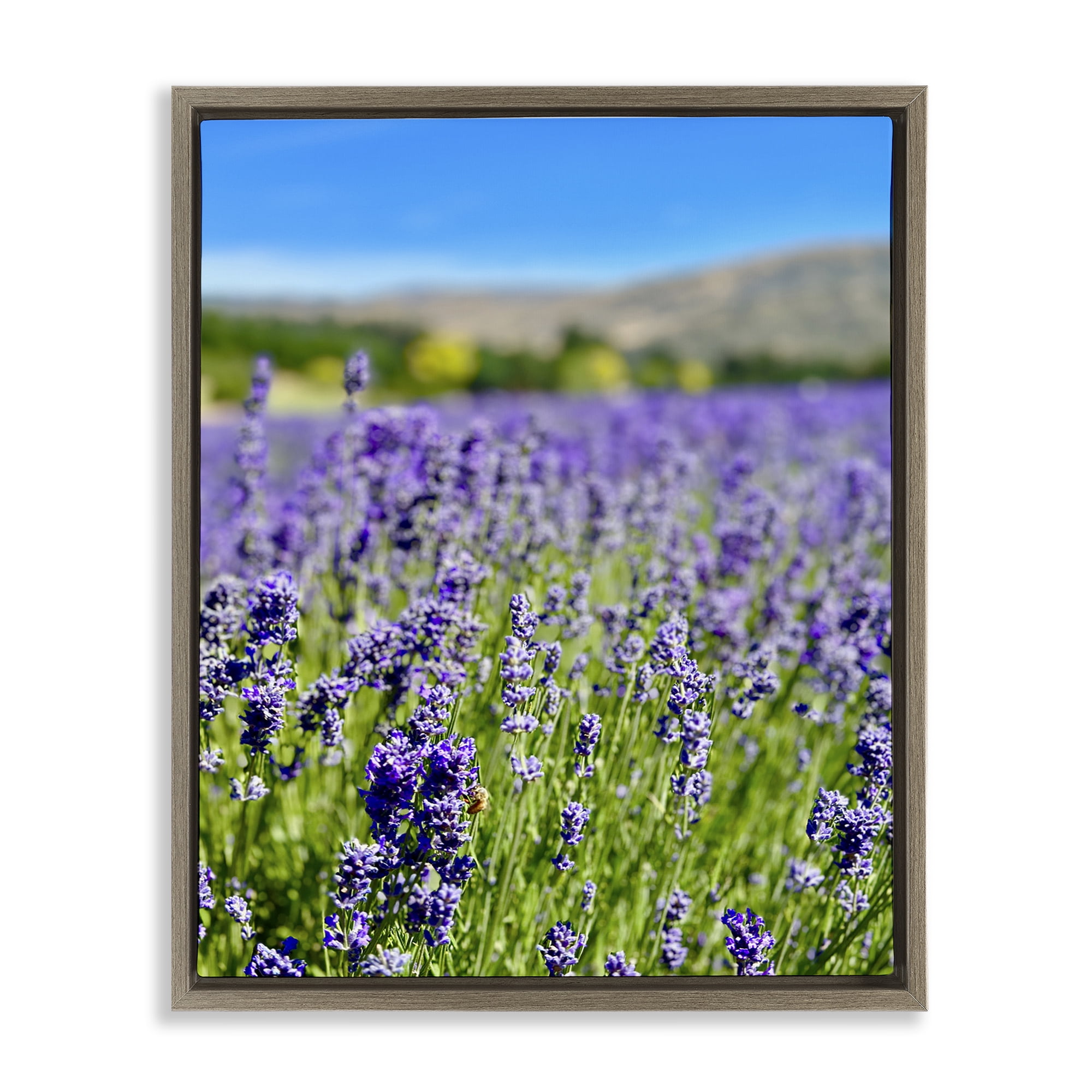 Stupell Industries Lavender in the Wind Landscape Photography Brown Floater Framed Art Print Wall Art, 25 x 31