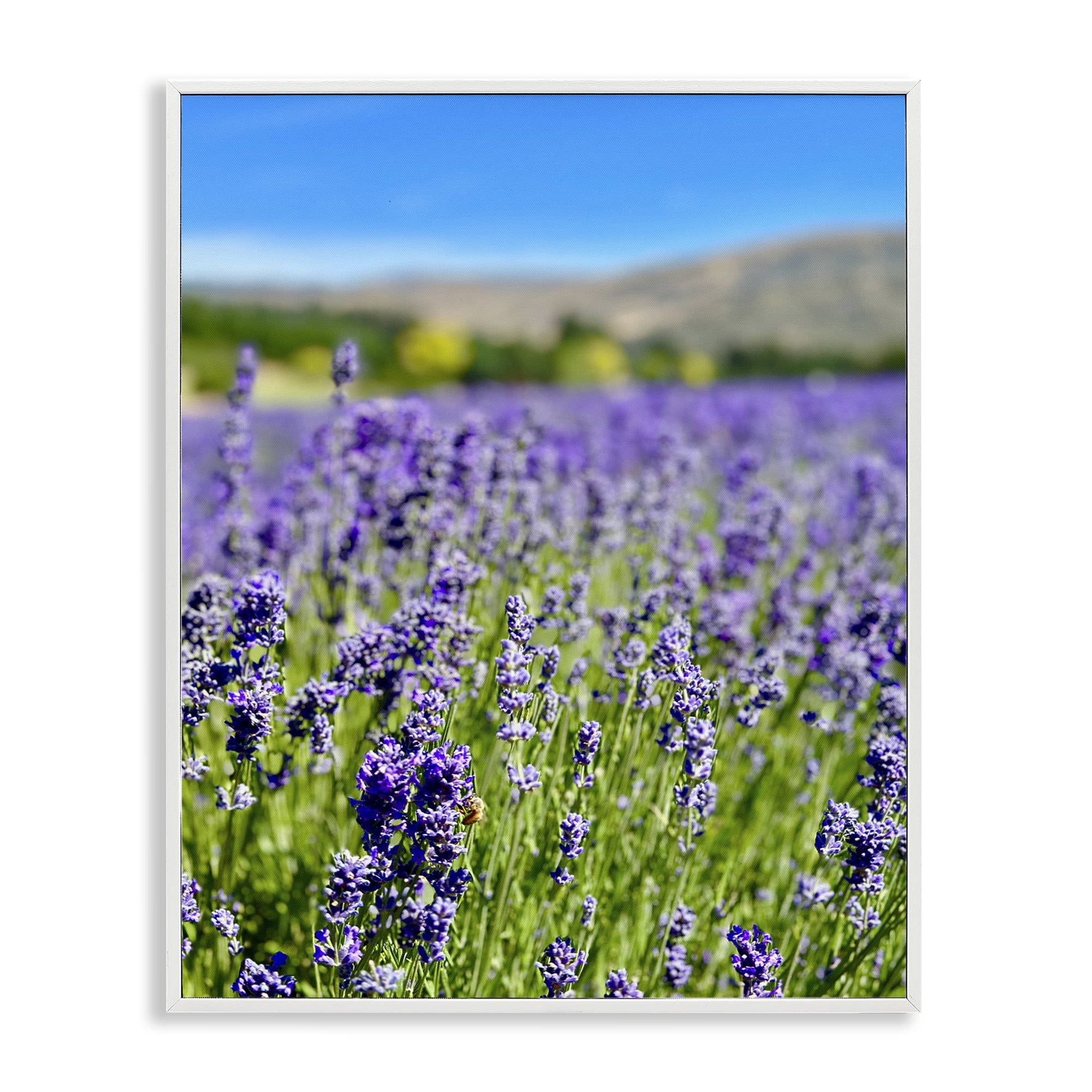 Stupell Industries Lavender in the Wind Landscape Photography White Framed Art Print Wall Art, 24 x 30