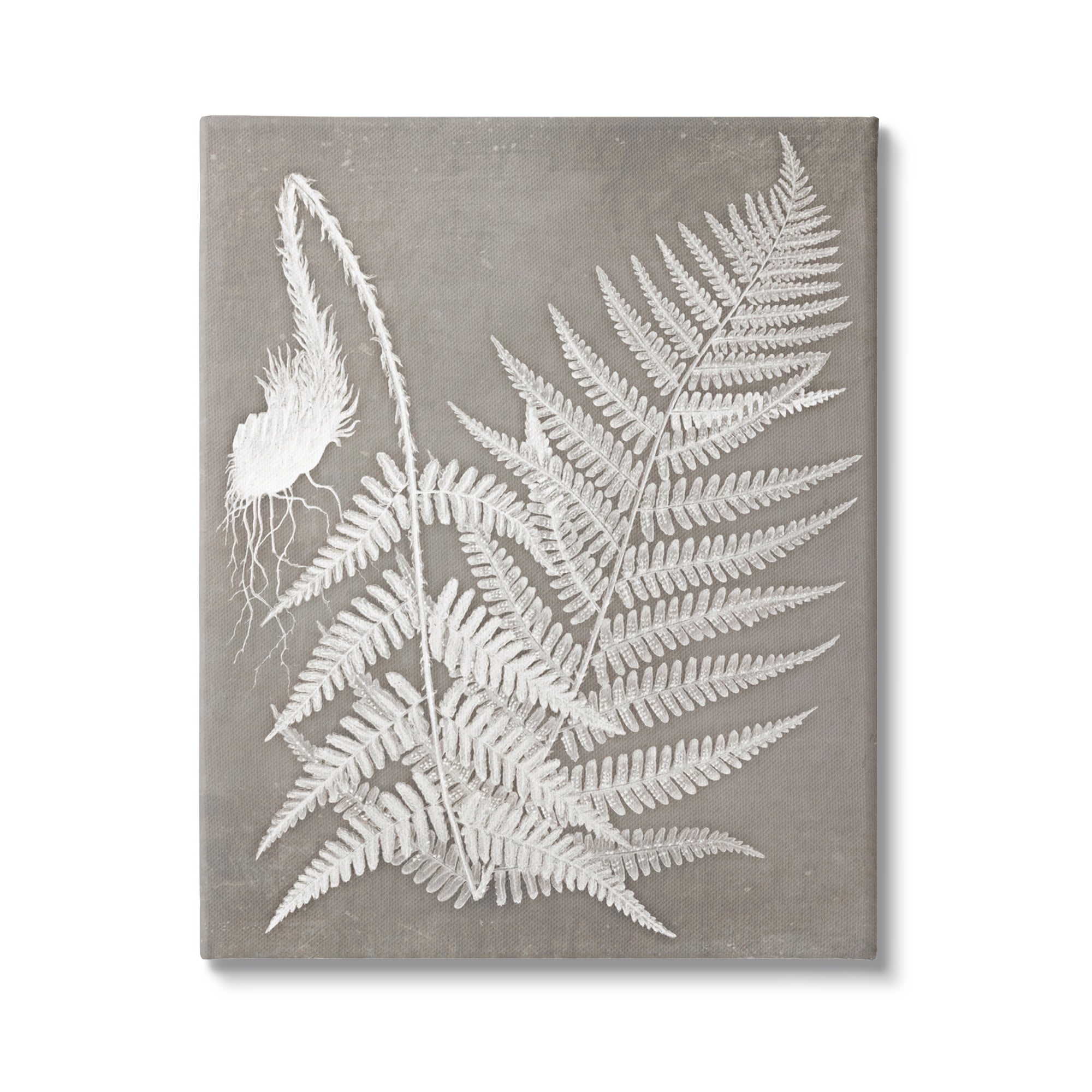 Stupell Industries Layered Botanicals Fern Leaves Nature Vegetation Graphic Art Gallery Wrapped Canvas Print Wall Art, Design by Graffitee Studios