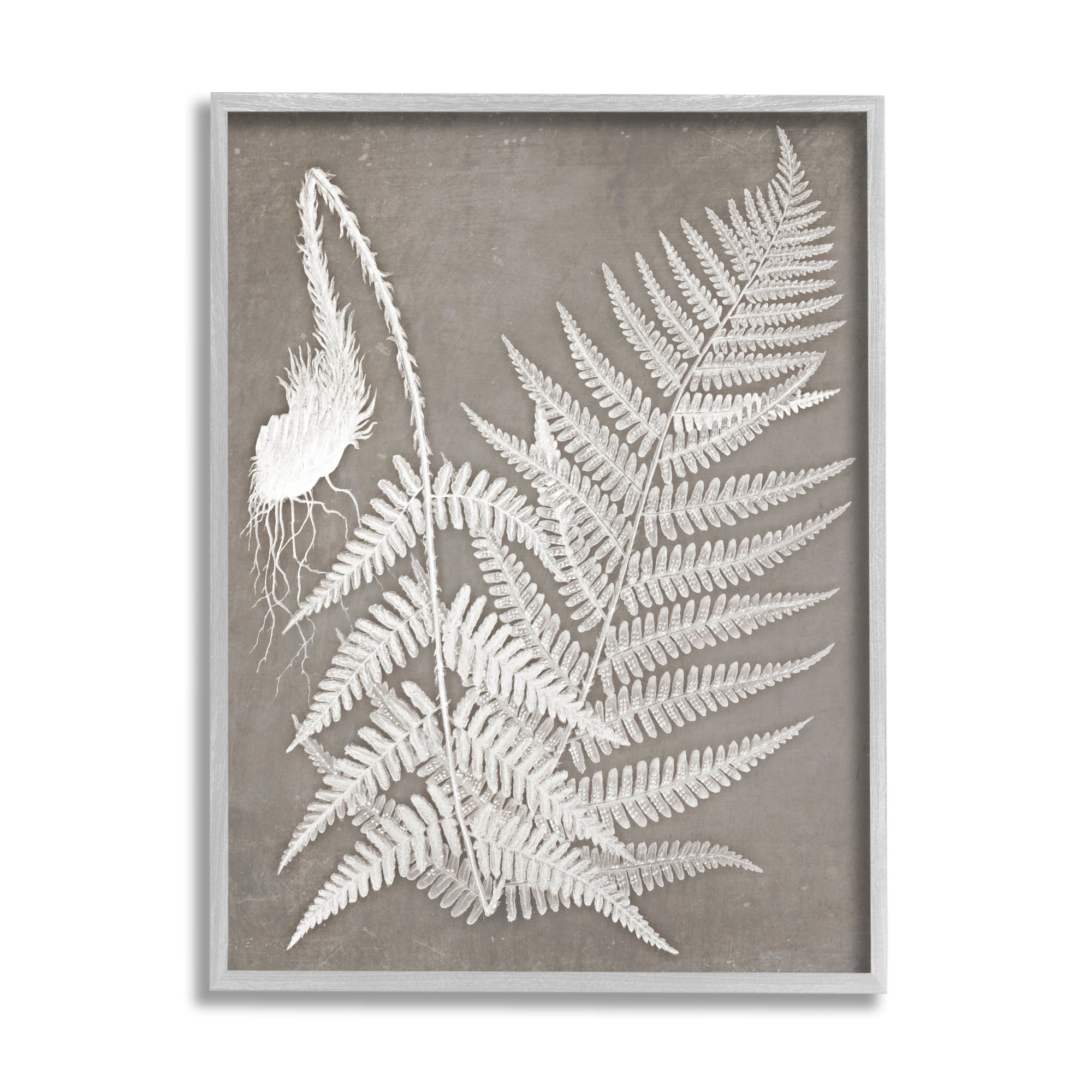 Stupell Industries Layered Botanicals Fern Leaves Nature Vegetation Graphic Art Gray Framed Art Print Wall Art, Design by Graffitee Studios