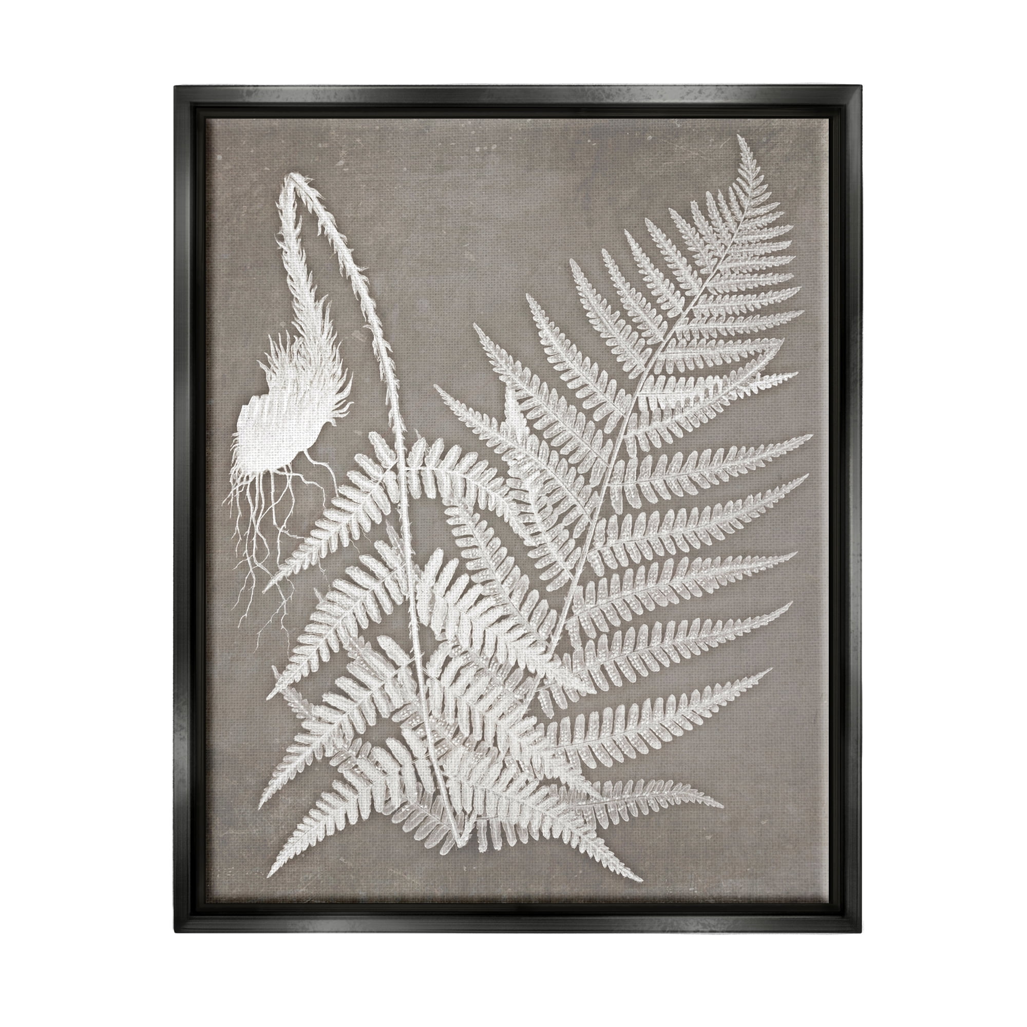 Stupell Industries Layered Botanicals Fern Leaves Nature Vegetation Graphic Art Jet Black Floating Framed Canvas Print Wall Art, Design by Graffitee Studios