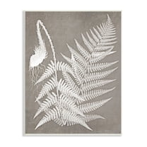 Stupell Industries Layered Botanicals Fern Leaves Nature Vegetation Graphic Art Unframed Art Print Wall Art, Design by Graffitee Studios