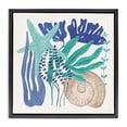 thumbnail image 1 of Stupell Industries Coastal Layered Coastal Shells Black Floating Frame Canvas Art, 25 x 25, by Veronique Charron, 1 of 8