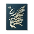 thumbnail image 1 of Stupell Industries Layered Fern Leaves Abstract Botanical Roots Shapes Graphic Art Gallery Wrapped Canvas Print Wall Art, Design by Piddix, 1 of 7