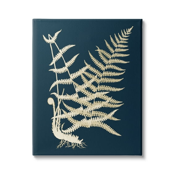 Stupell Industries Layered Fern Leaves Abstract Botanical Roots Shapes Graphic Art Gallery Wrapped Canvas Print Wall Art, Design by Piddix