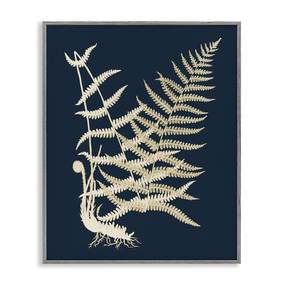 Stupell Industries Eclectic Layered Fern Leaves Abstract Botanical Roots Shapes Gray Framed Giclee Art, 11 x 14, by Piddix