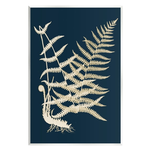 Stupell Industries Layered Fern Leaves Abstract Botanical Roots Shapes Graphic Art Unframed Art Print Wall Art, Design by Piddix