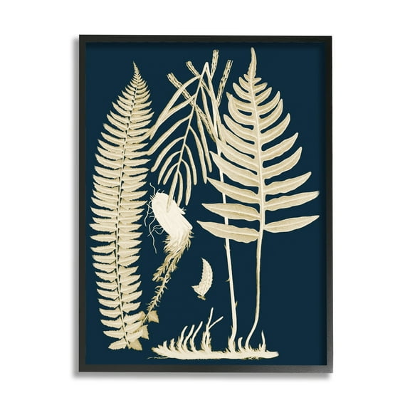 Stupell Industries Layered Ferns Botanical Roots Contemporary Abstract Design Graphic Art Black Framed Art Print Wall Art, Design by Piddix
