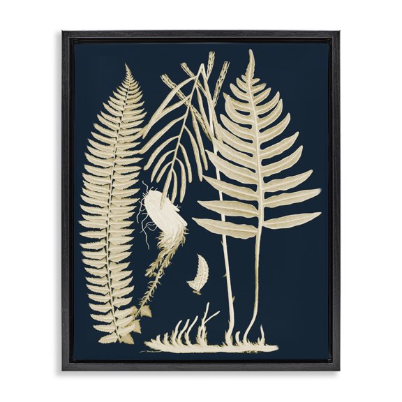 Stupell Industries Modern Layered Ferns Botanical Roots Contemporary Abstract Design Black Floating Frame Canvas Art, 25 x 31, by Piddix