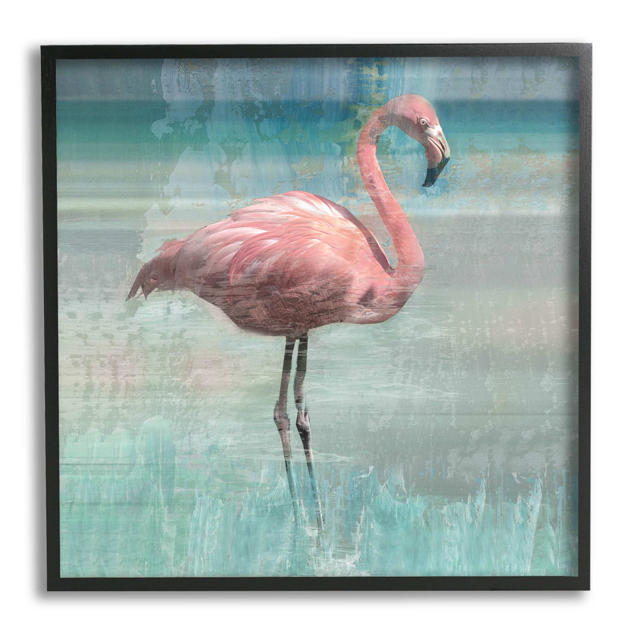 Pink Flamingo Bird Portrait on Canvas with Black Frame