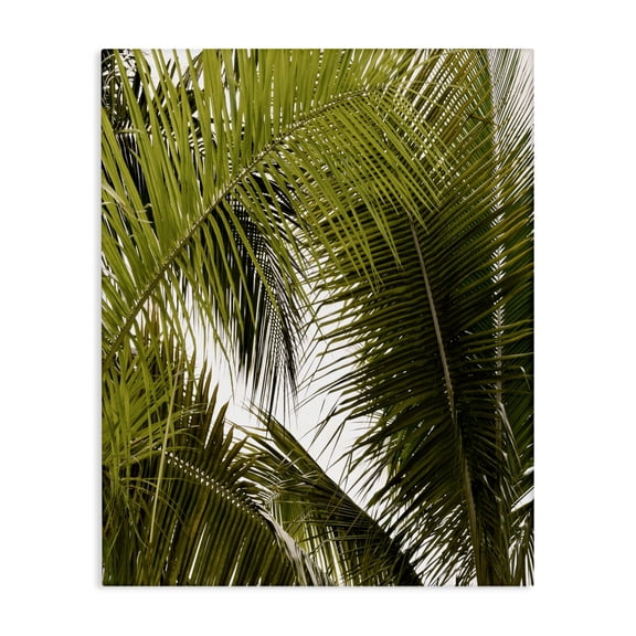 Stupell Industries Layered Palm Details Canvas Wall Art design by Natalie Carpentieri, 48 x 36