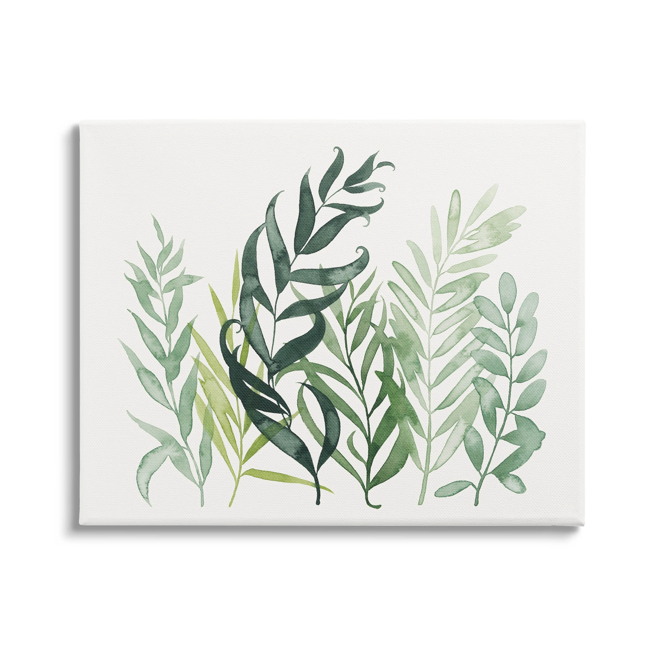 Stupell Industries Layered Plant Leaves Botanical Graphic Art Gallery Wrapped Canvas Print Wall Art, Design by Grace Popp