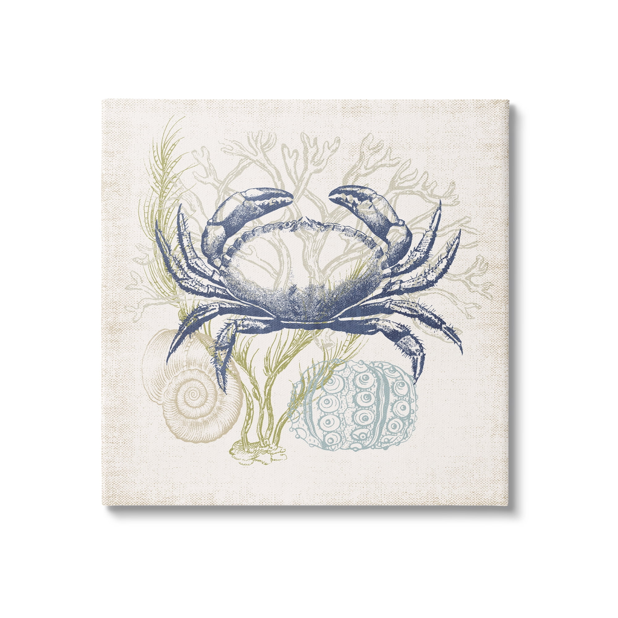 Stupell Industries Layered Sea Life Crab Marine Botanical Patterns Graphic Art Gallery Wrapped Canvas Print Wall Art, Design by Victoria Barnes