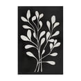 thumbnail image 1 of Stupell Industries Leaf Whispers on Black Canvas Wall Art design by Andrea Haase, 24 x 16, 1 of 7