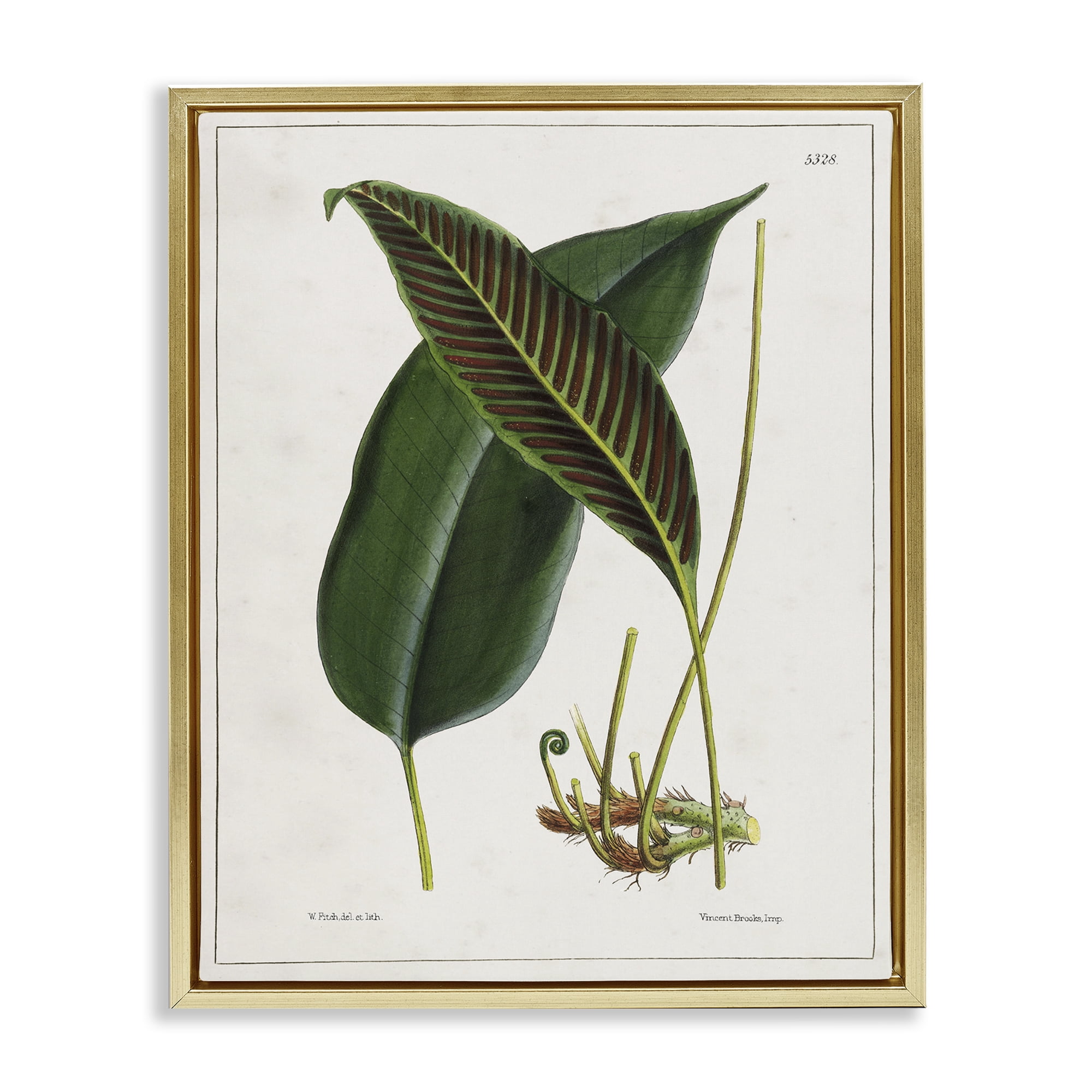 Stupell Industries Leaf and its Underside Study Plants & Flowers Painting Gold Floater Framed Canvas Art Print Wall Art, 25 x 31