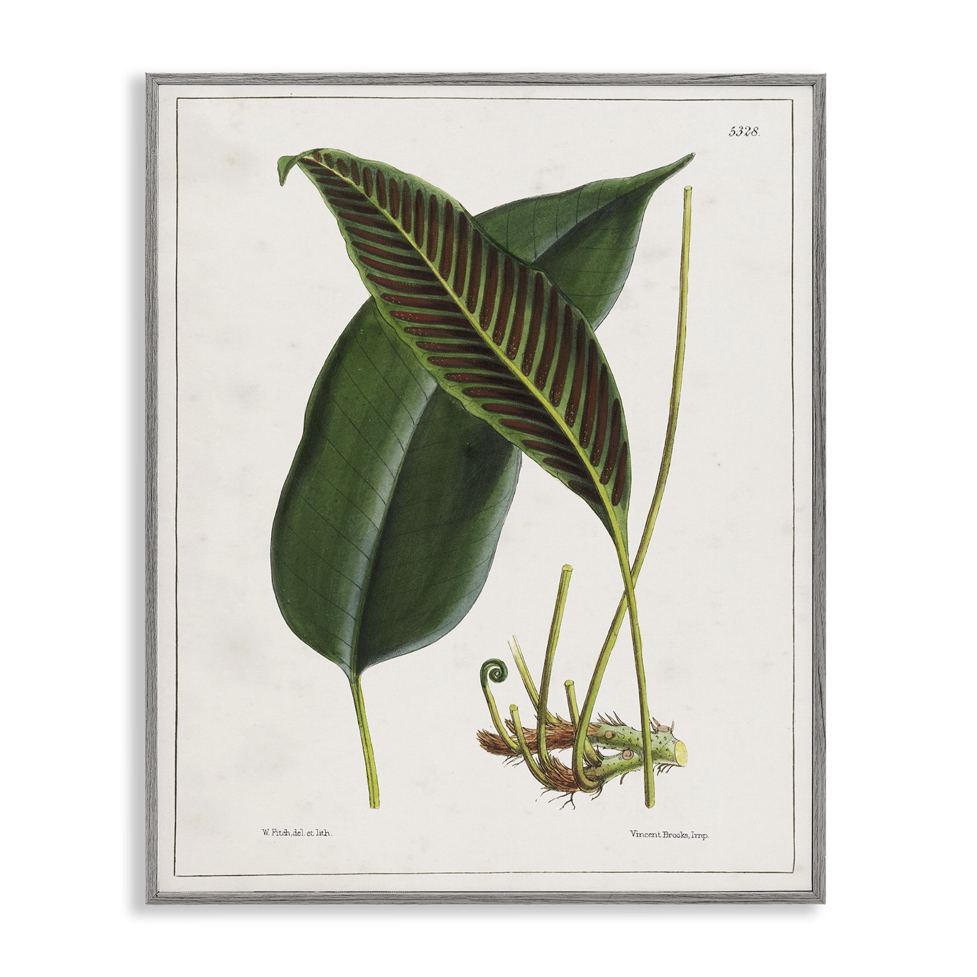 Stupell Industries Leaf and its Underside Study Plants & Flowers Painting Gray Framed Art Print Wall Art, 16 x 20