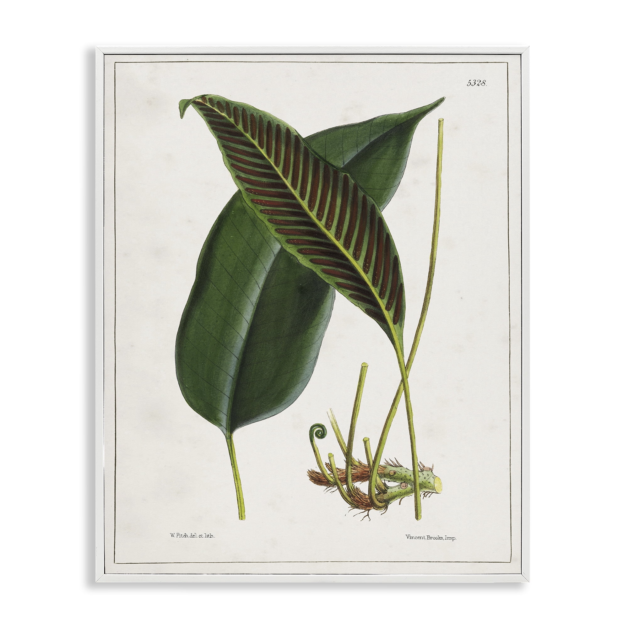 Stupell Industries Leaf and its Underside Study Plants & Flowers Painting White Framed Art Print Wall Art, 11 x 14