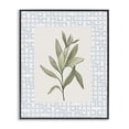 thumbnail image 1 of Stupell Industries Transitional Leafy Fresh Herb Black Framed Giclee Art, 16 x 20, by Diannart, 1 of 8