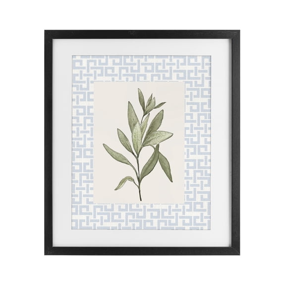 Stupell Industries Transitional Leafy Fresh Herb Black Framed Print Under Glass, 13 x 16, by Diannart