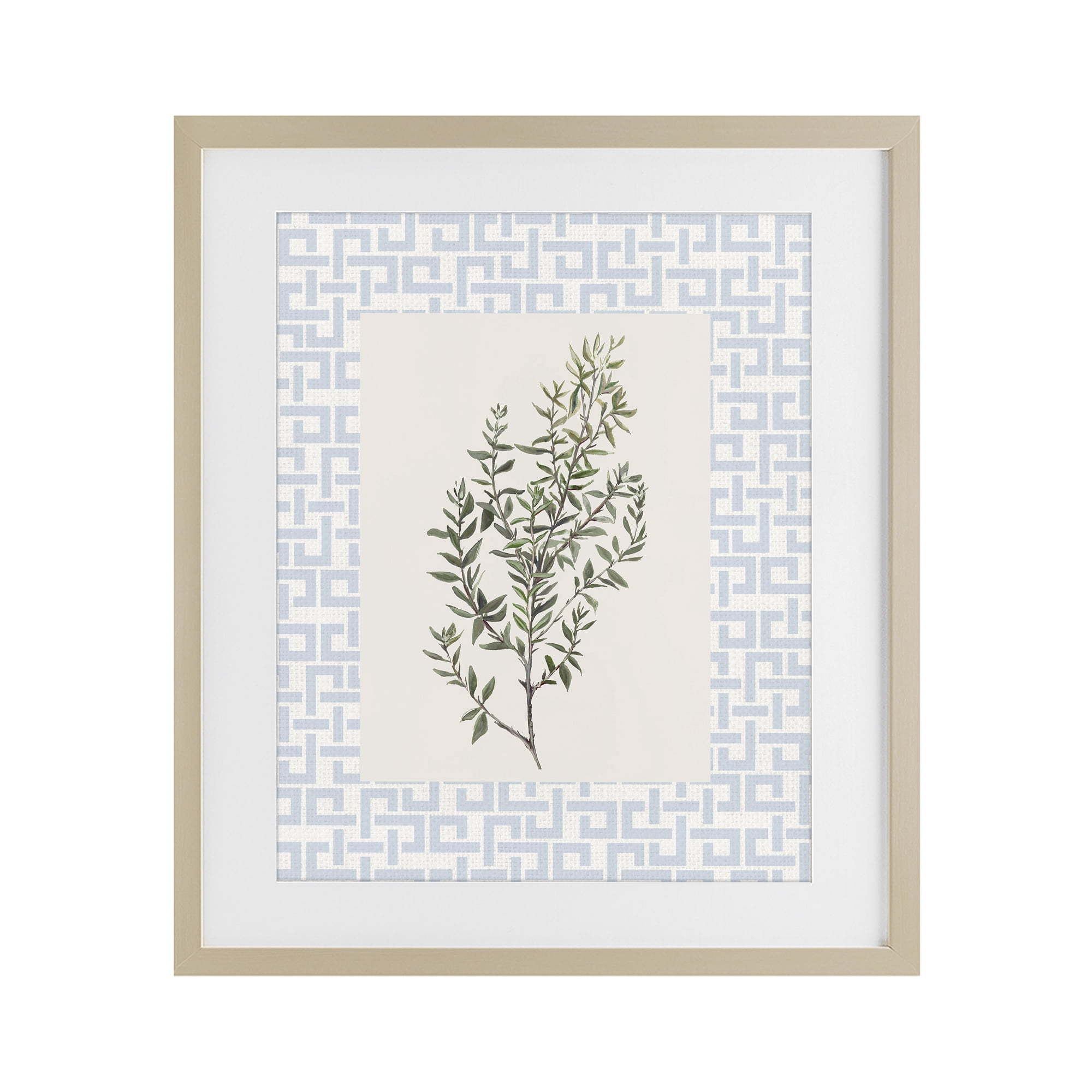 Stupell Industries Leafy Herb on Geometric Birch Framed Print Under Glass, design by Diannart