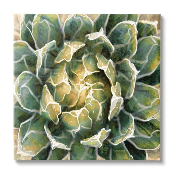 Stupell Industries Leafy Succulent Plant Nature Botanical & Floral Painting Gallery Wrapped Canvas Print Wall Art