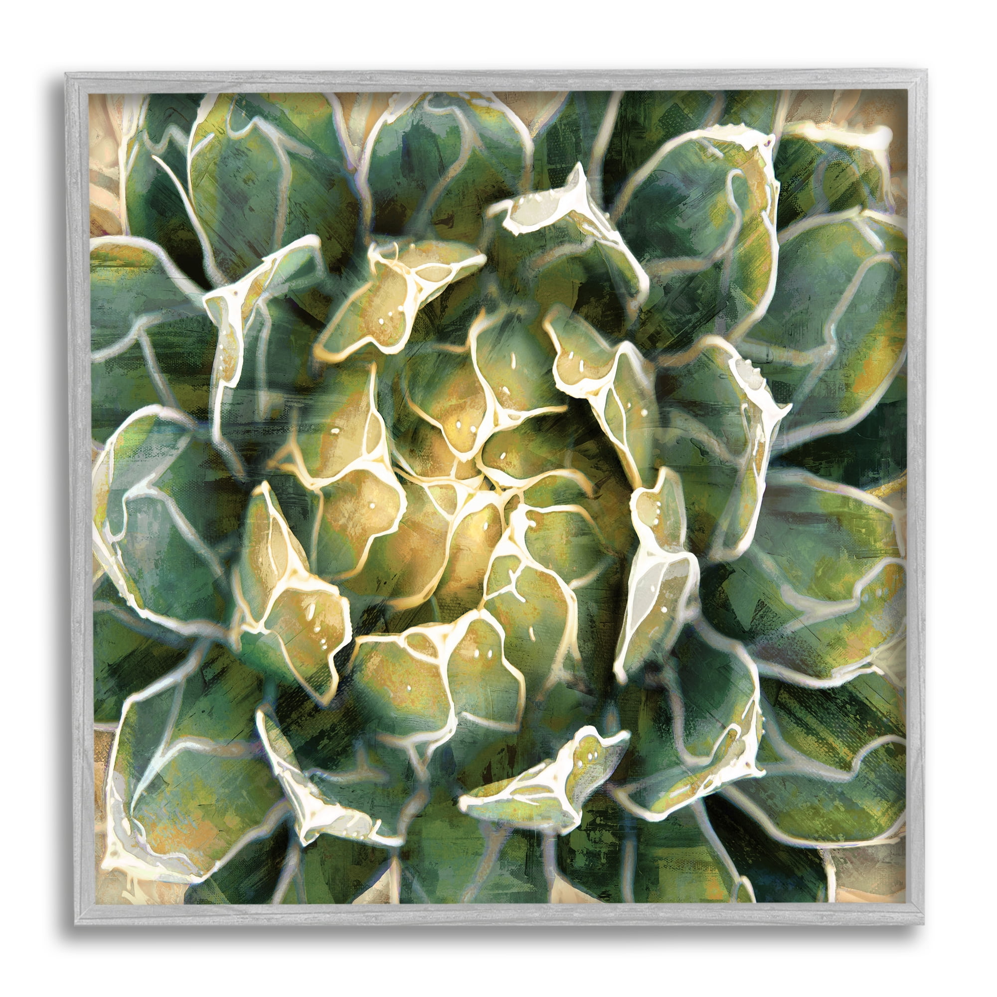 Stupell Industries Leafy Succulent Plant Nature Botanical & Floral Painting Gray Framed Art Print Wall Art