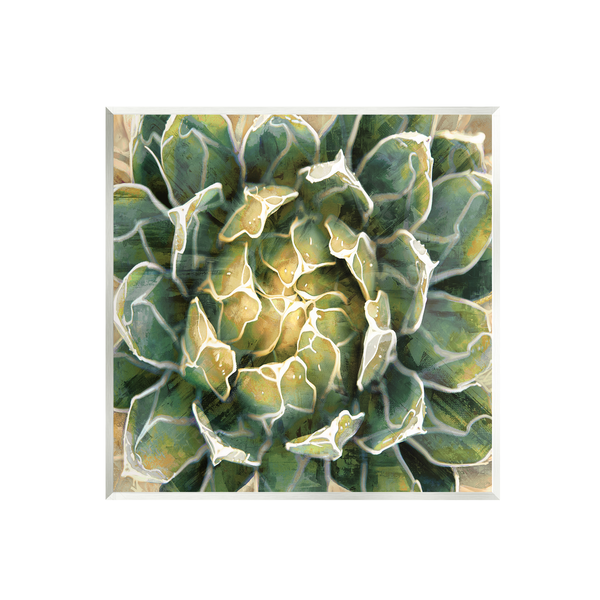 Stupell Industries Leafy Succulent Plant Nature Botanical & Floral Painting Unframed Art Print Wall Art