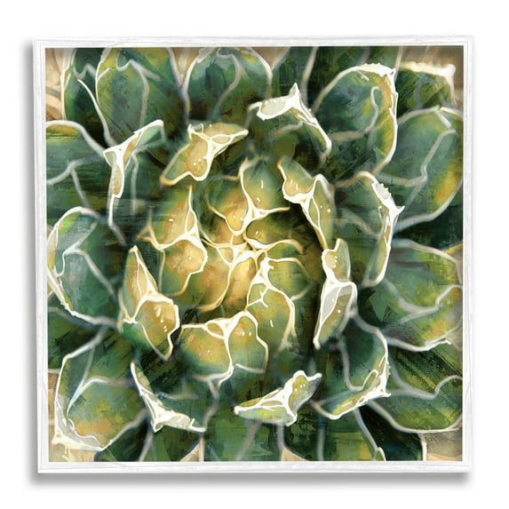 Stupell Industries Leafy Succulent Plant Nature Botanical & Floral Painting White Framed Art Print Wall Art