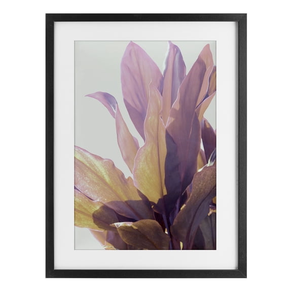 Stupell Industries Leafy Sunlit Plant Black Framed Print Under Glass design by Gemma Bardot, 20 x 14