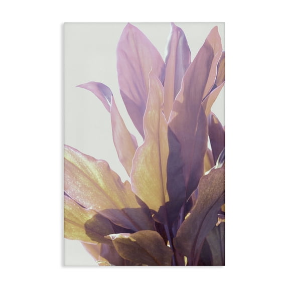 Stupell Industries Leafy Sunlit Plant Canvas Wall Art design by Gemma Bardot, 24 x 16