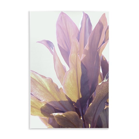 Stupell Industries Leafy Sunlit Plant Wall Plaque Art design by Gemma Bardot, 15 x 10