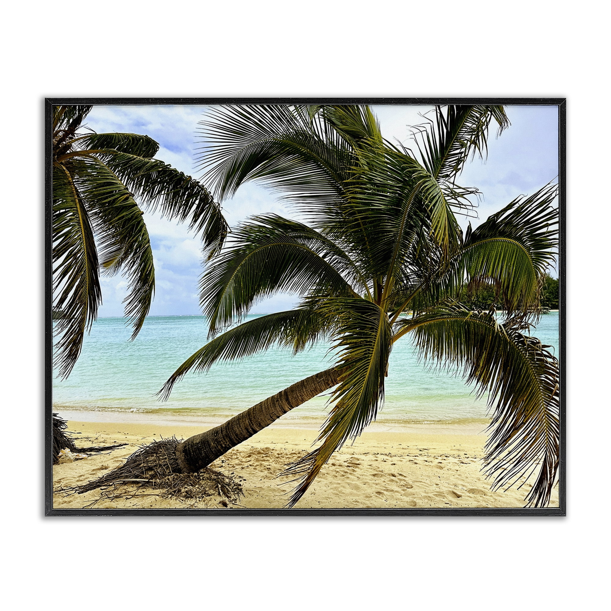 Stupell Industries Leaning Palms on Beach Landscape Photography Black Framed Art Print Wall Art, 30 x 24