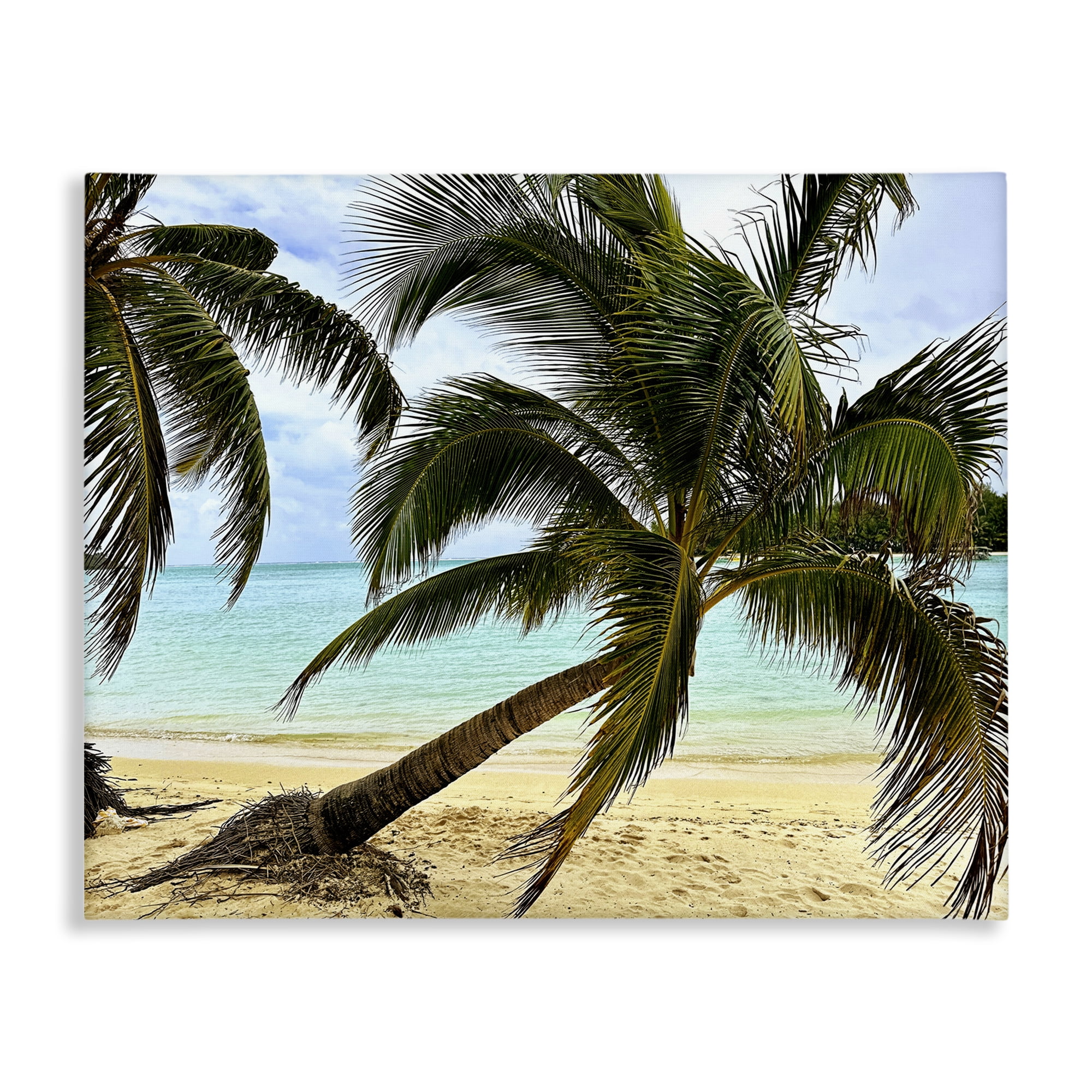 Stupell Industries Leaning Palms on Beach Landscape Photography Gallery Wrapped Canvas Art Print Wall Art, 40 x 30