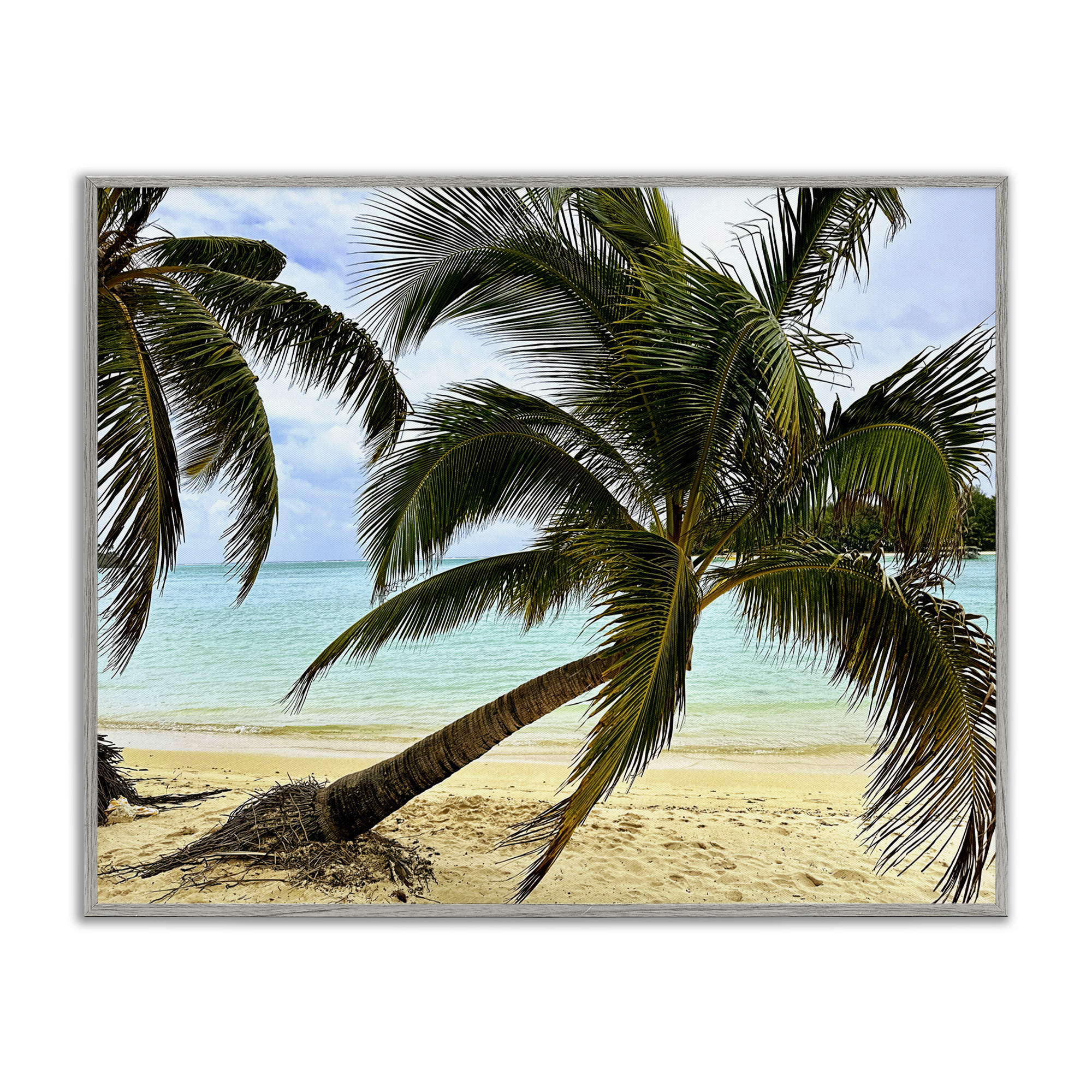 Stupell Industries Leaning Palms on Beach Landscape Photography Gray Framed Art Print Wall Art, 14 x 11