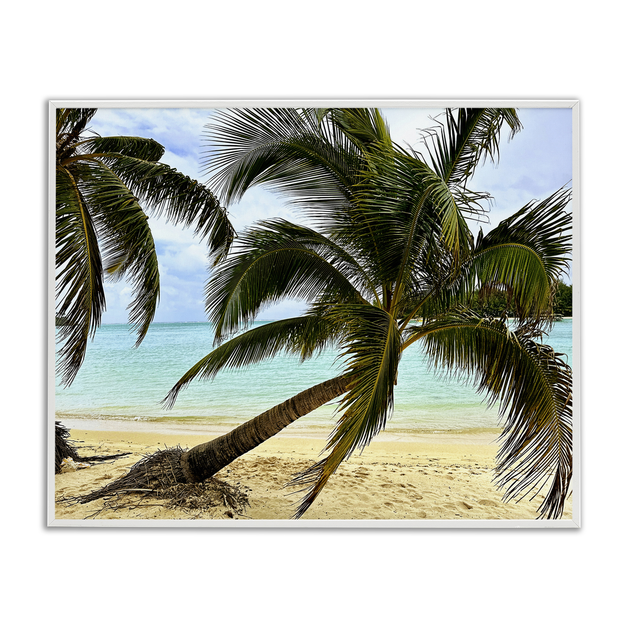 Stupell Industries Leaning Palms on Beach Landscape Photography White Framed Art Print Wall Art, 20 x 16