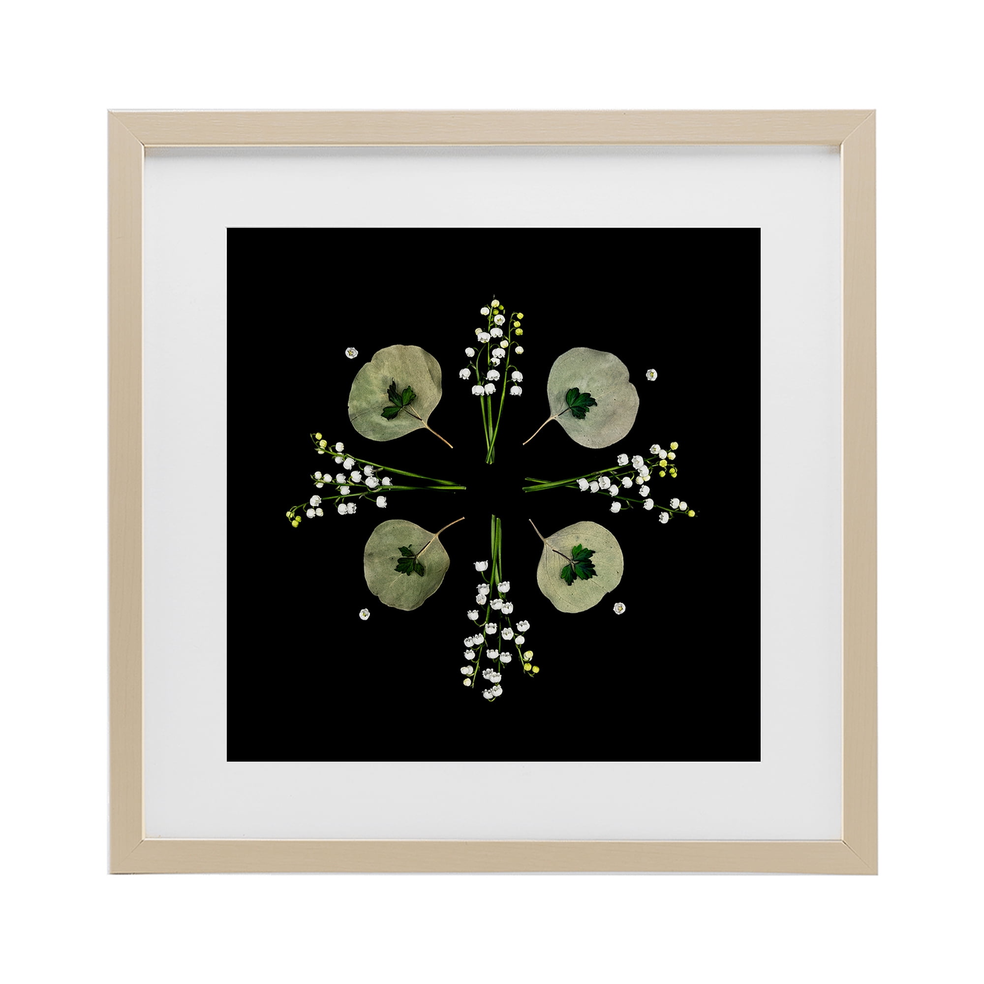 Stupell Industries Leaves & Wildflowers on Black Birch Framed Print Under Glass, design by Beth Adoette