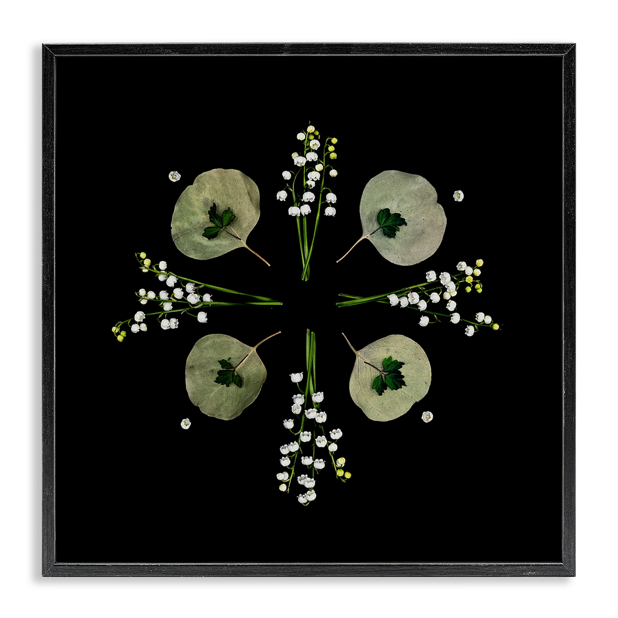 Stupell Industries Leaves & Wildflowers on Black Black Framed Giclee Art, design by Beth Adoette