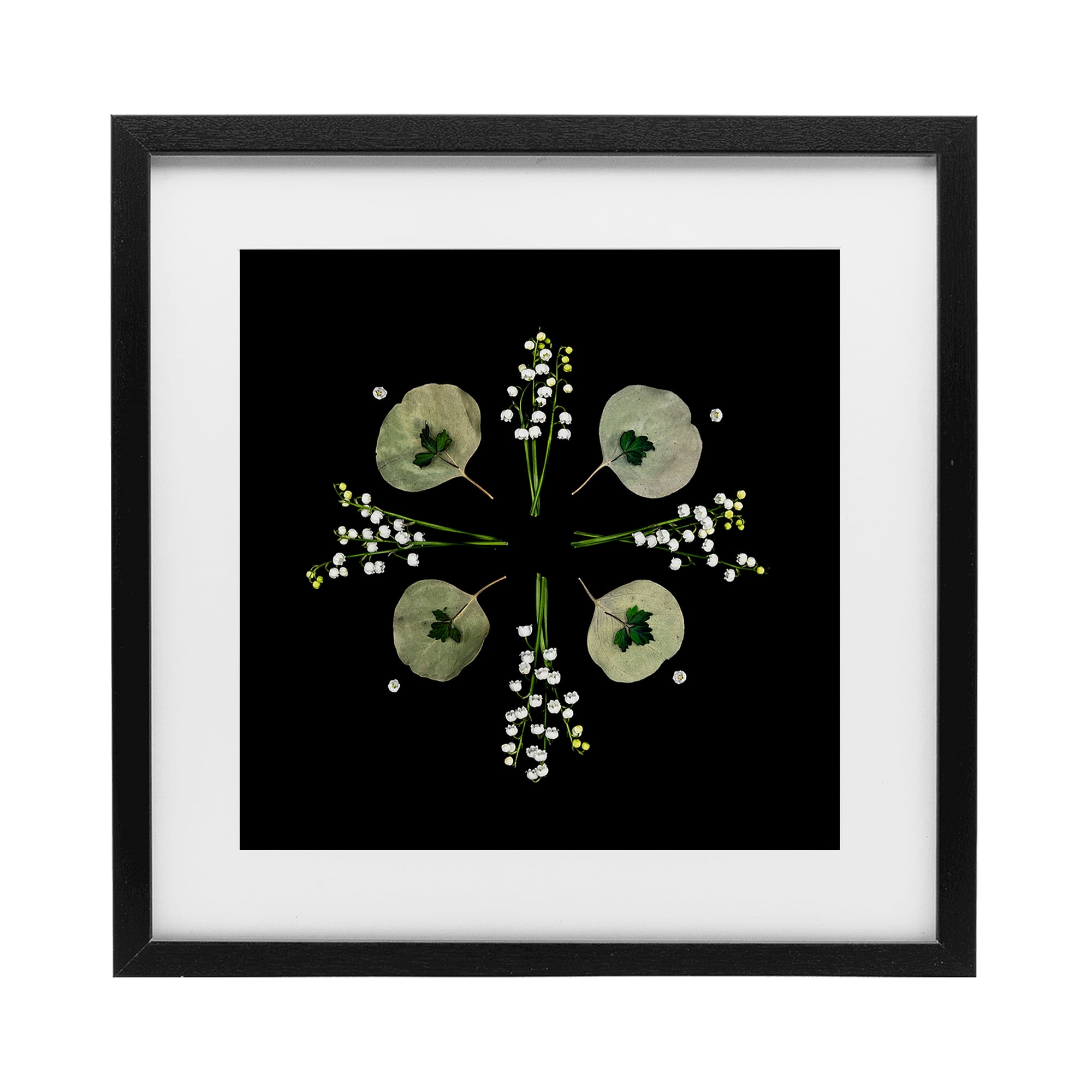 Stupell Industries Leaves & Wildflowers on Black Black Framed Print Under Glass, design by Beth Adoette