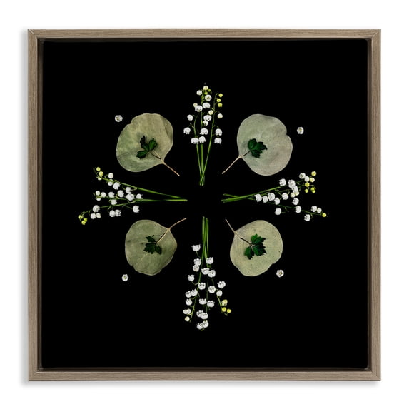 Stupell Industries Coastal Leaves & Wildflowers on Black Brown Floating Frame Canvas Art, 25 x 25, by Beth Adoette