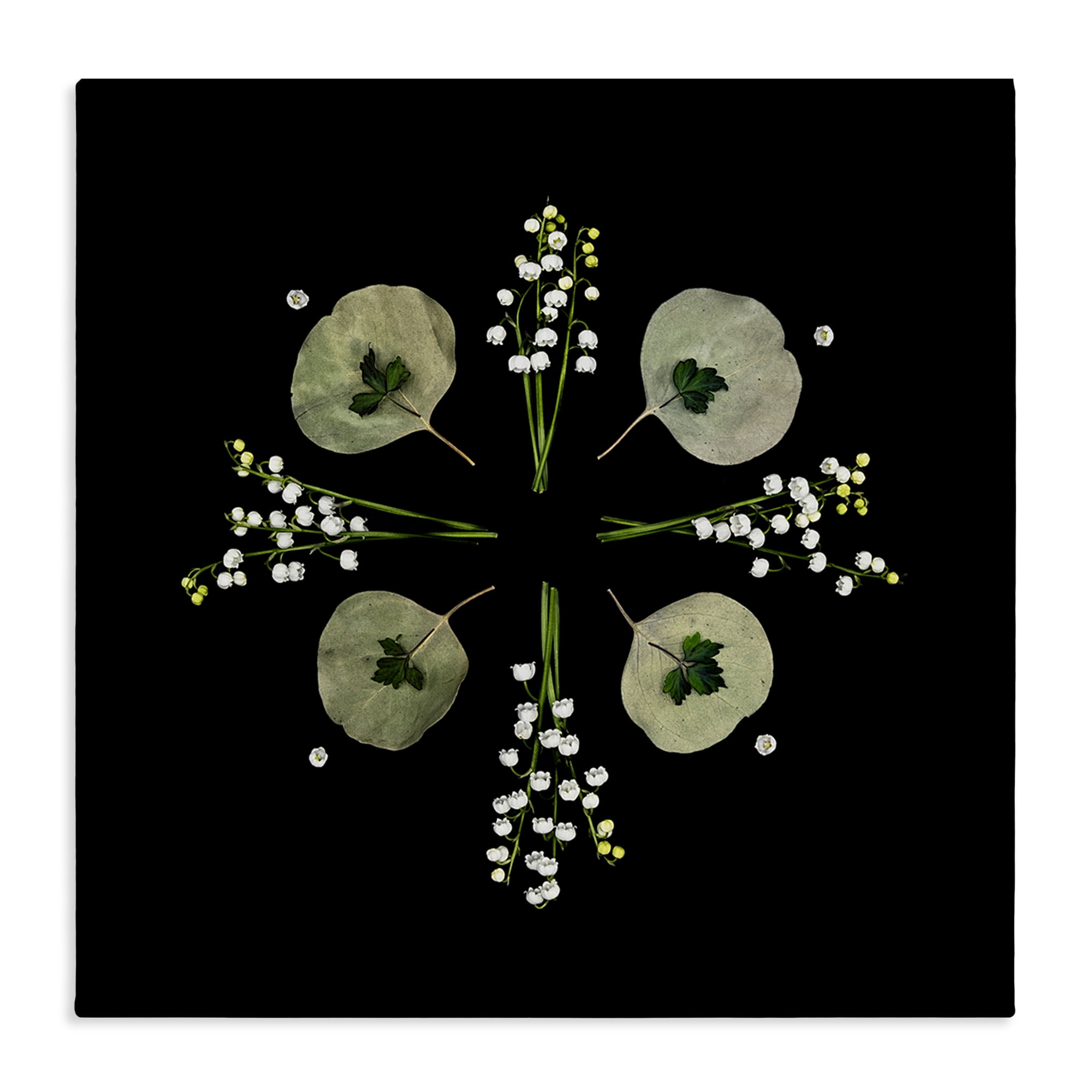 Stupell Industries Leaves & Wildflowers on Black Canvas Wall Art, design by Beth Adoette