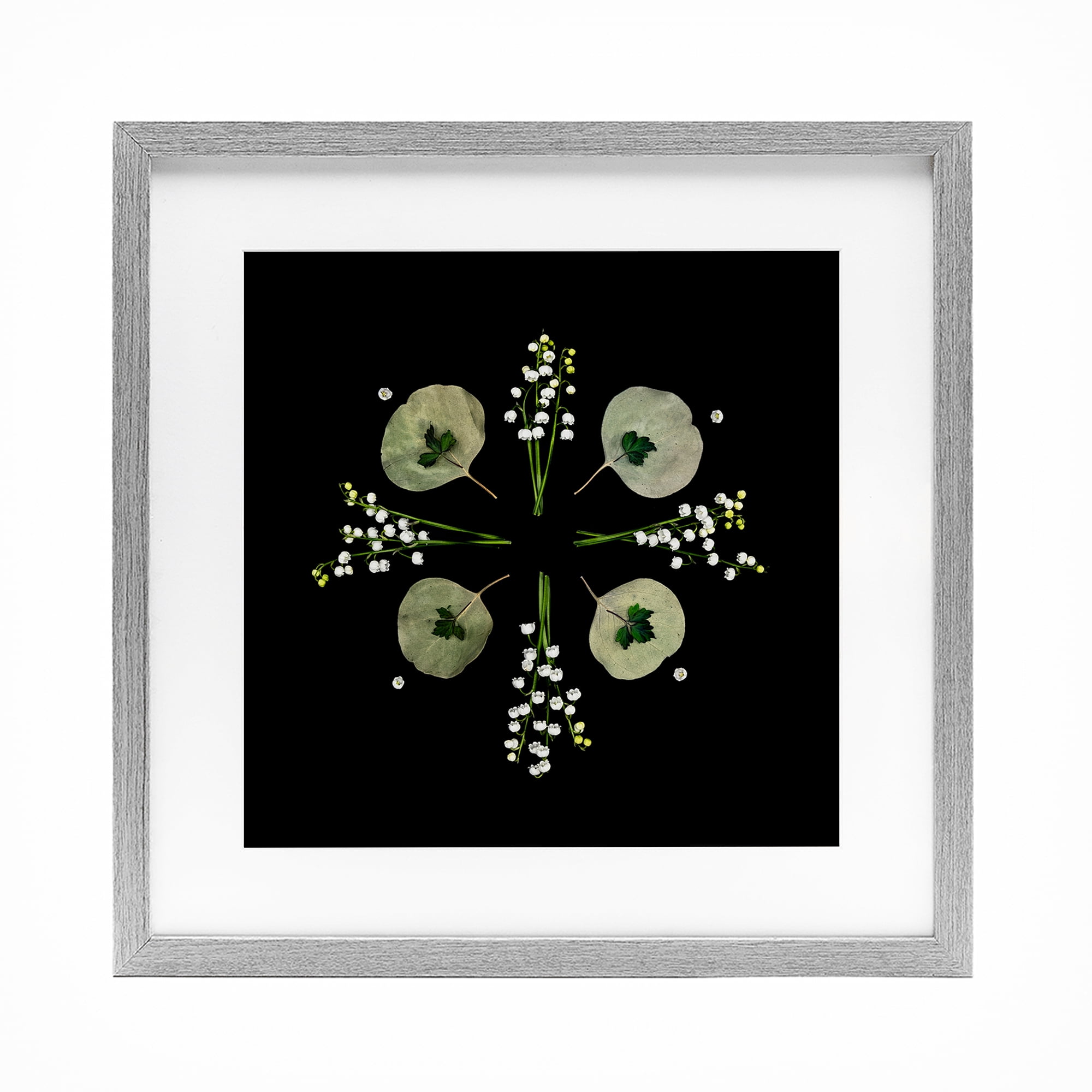 Stupell Industries Leaves & Wildflowers on Black Gray Framed Print Under Glass, design by Beth Adoette