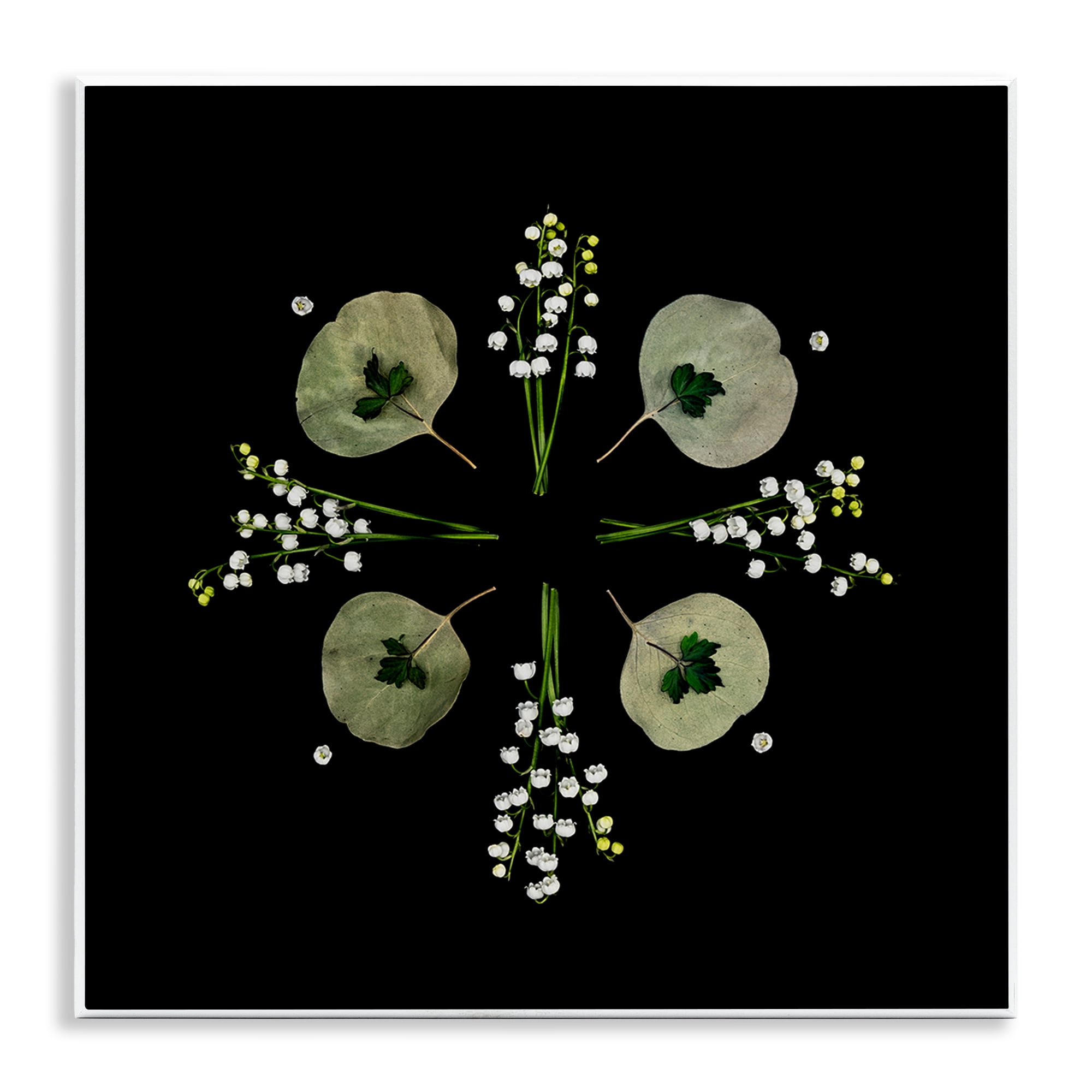 Stupell Industries Leaves & Wildflowers on Black Wall Plaque Art, design by Beth Adoette