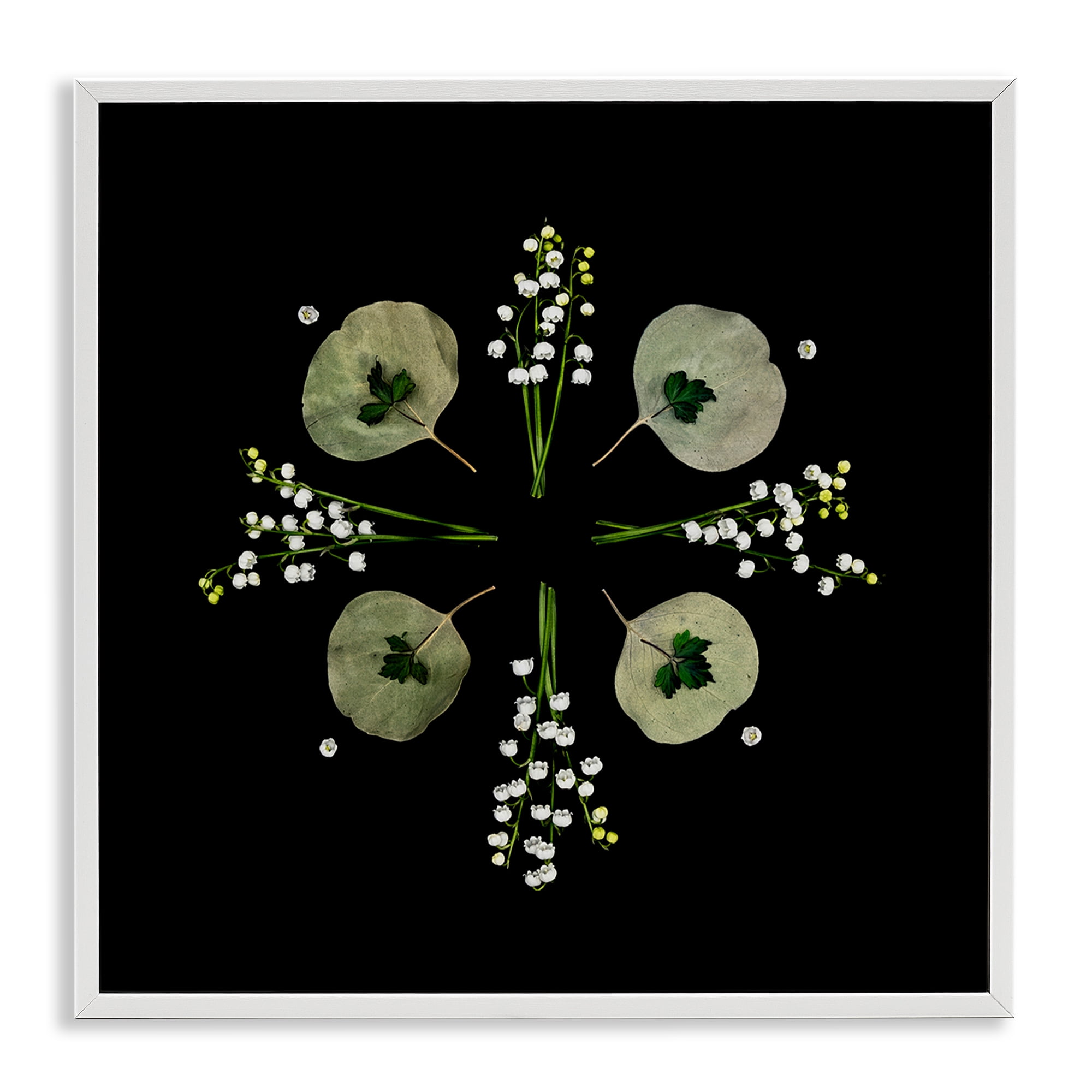 Stupell Industries Leaves & Wildflowers on Black White Framed Giclee Art, design by Beth Adoette